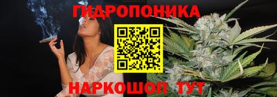индика Пенза