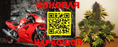 spice Обнинск