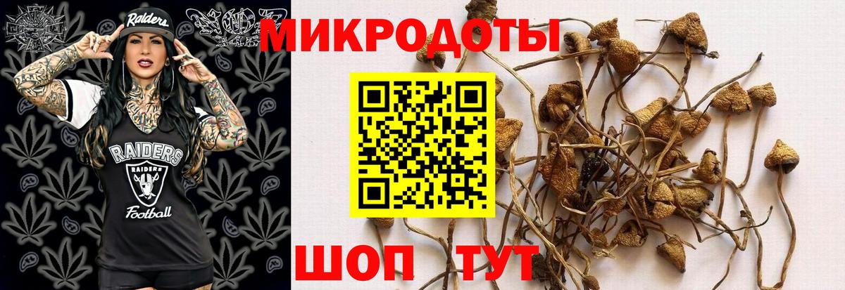 Октябрьский  Галлюциногенные грибы GOLDEN TEACHER  Псилоцибиновые грибы мухоморы  Вход с VPN 